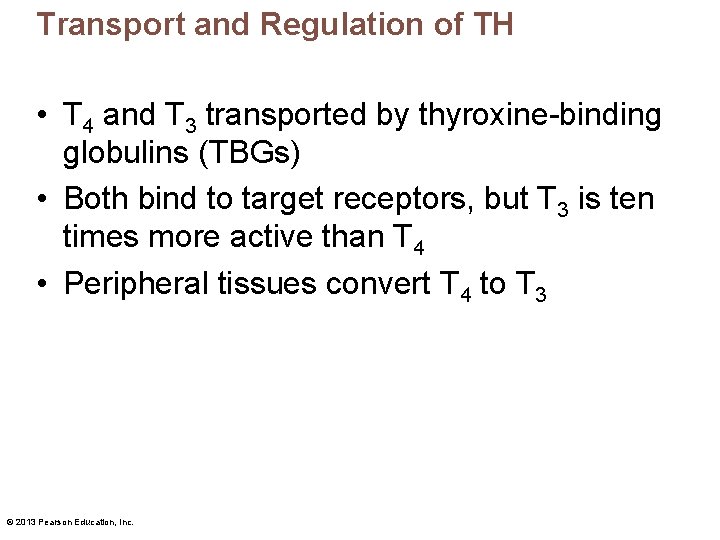 Transport and Regulation of TH • T 4 and T 3 transported by thyroxine-binding