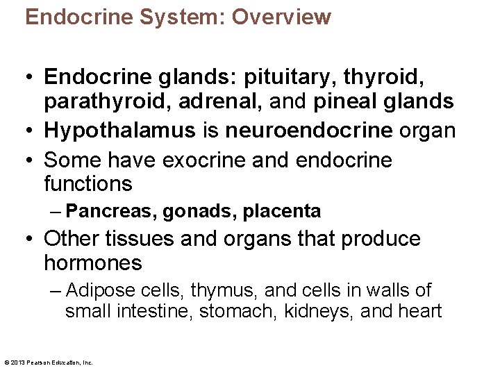 Endocrine System: Overview • Endocrine glands: pituitary, thyroid, parathyroid, adrenal, and pineal glands •