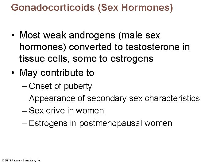 Gonadocorticoids (Sex Hormones) • Most weak androgens (male sex hormones) converted to testosterone in