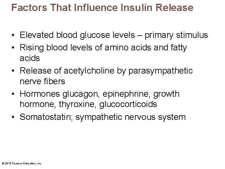 Factors That Influence Insulin Release • Elevated blood glucose levels – primary stimulus •