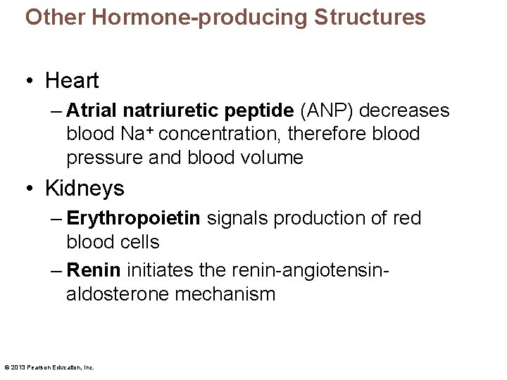 Other Hormone-producing Structures • Heart – Atrial natriuretic peptide (ANP) decreases blood Na+ concentration,