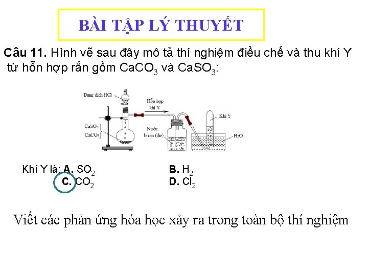 BÀI TẬP LÝ THUYẾT Câu 11. Hình vẽ sau đây mô tả thí nghiệm