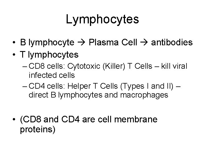 Lymphocytes • B lymphocyte Plasma Cell antibodies • T lymphocytes – CD 8 cells: