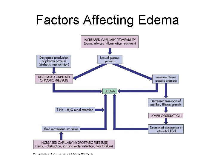 Factors Affecting Edema 