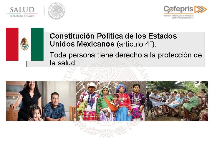 Constitución Política de los Estados Unidos Mexicanos (artículo 4°). Toda persona tiene derecho a