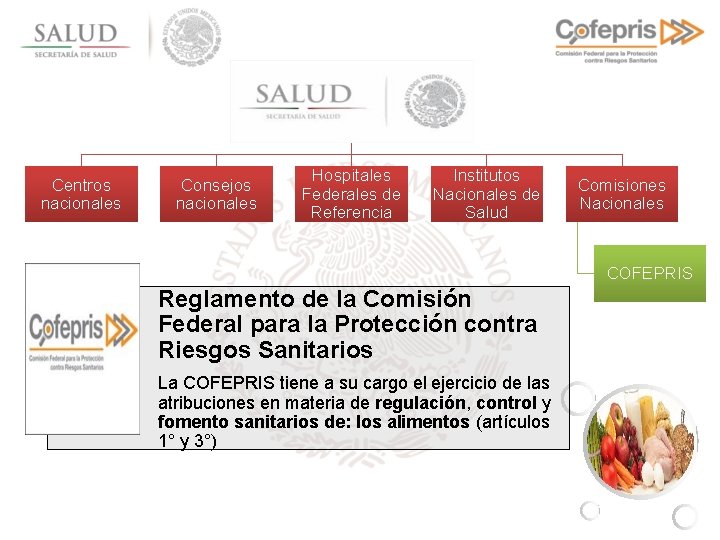 Centros nacionales Consejos nacionales Hospitales Federales de Referencia Institutos Nacionales de Salud Comisiones Nacionales