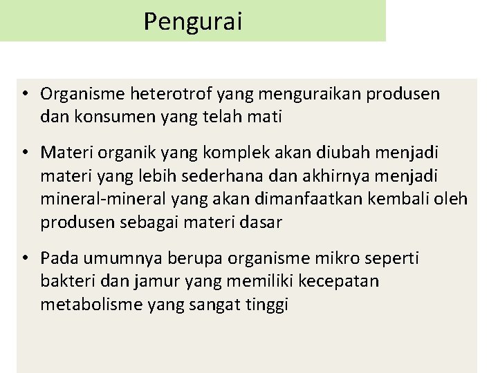 Pengurai • Organisme heterotrof yang menguraikan produsen dan konsumen yang telah mati • Materi