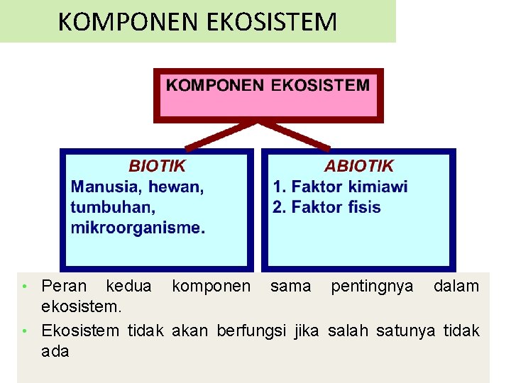KOMPONEN EKOSISTEM Peran kedua komponen sama pentingnya dalam ekosistem. • Ekosistem tidak akan berfungsi