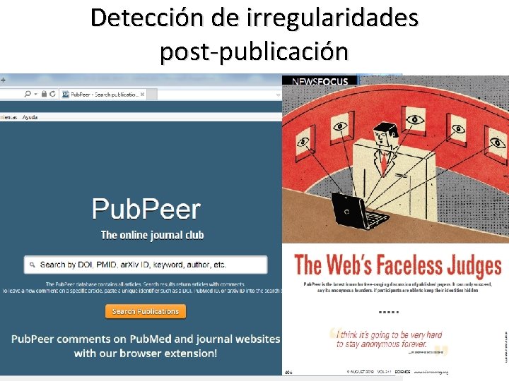 Detección de irregularidades post-publicación 