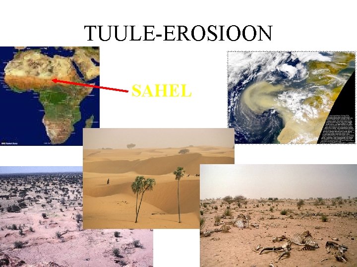 TUULE-EROSIOON SAHEL 