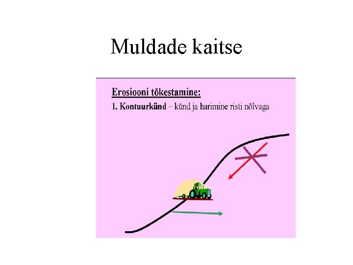 Muldade kaitse 