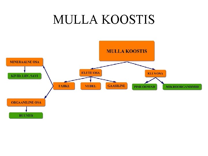 MULLA KOOSTIS 