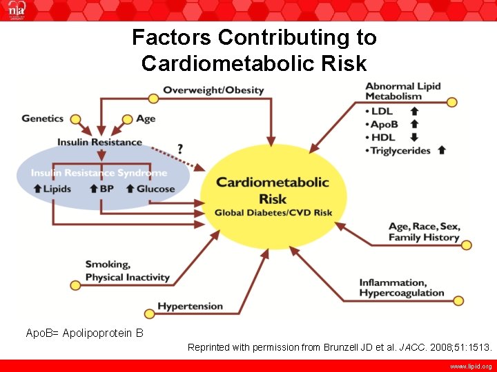 Factors Contributing to Cardiometabolic Risk Apo. B= Apolipoprotein B Reprinted with permission from Brunzell