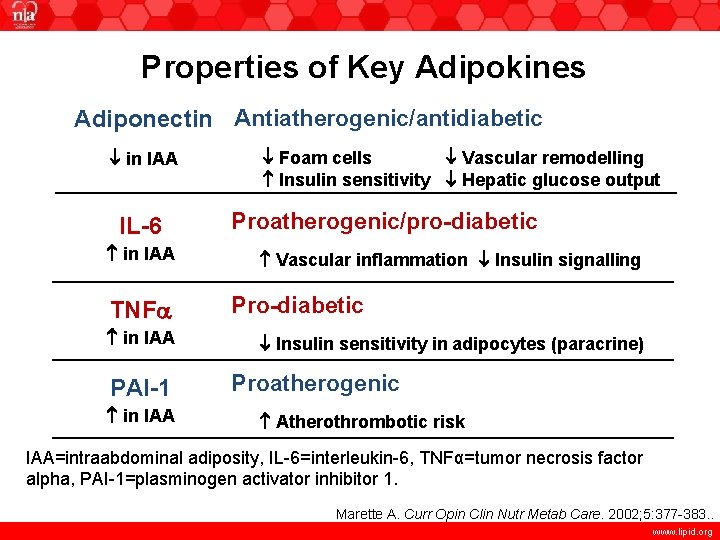 Properties of Key Adipokines Adiponectin Antiatherogenic/antidiabetic in IAA IL-6 in IAA TNFa in IAA