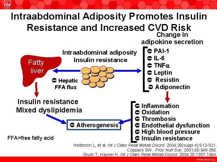 Intraabdominal Adiposity Promotes Insulin Resistance and Increased CVD Risk Change in adipokine secretion Intraabdominal