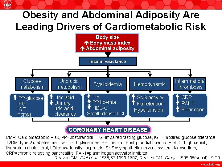 Obesity and Abdominal Adiposity Are Leading Drivers of Cardiometabolic Risk Body size Central Adiposity