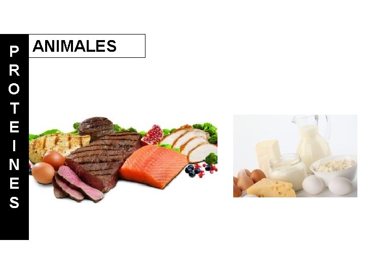 P ANIMALES R O T E I N E S 