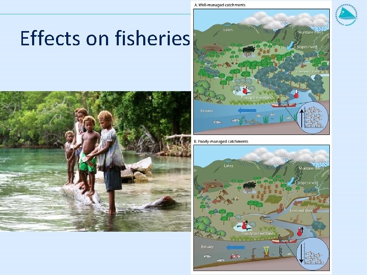 Effects on fisheries 