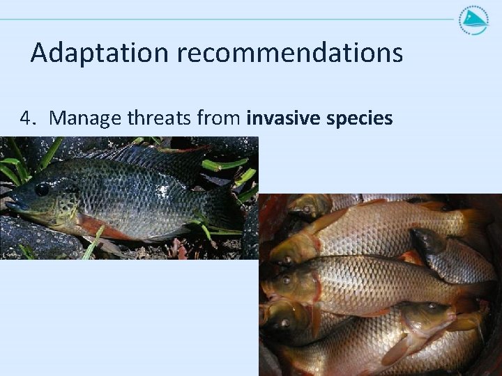 Adaptation recommendations 4. Manage threats from invasive species 