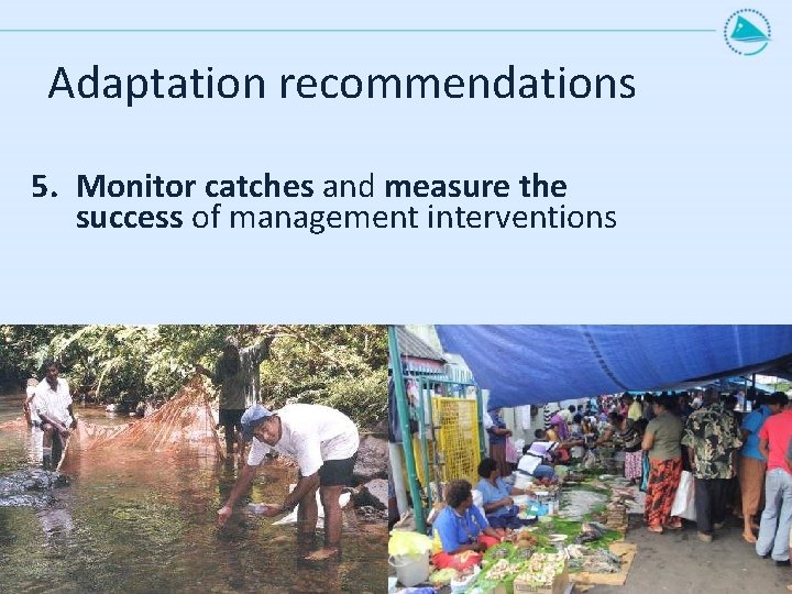 Adaptation recommendations 5. Monitor catches and measure the success of management interventions 