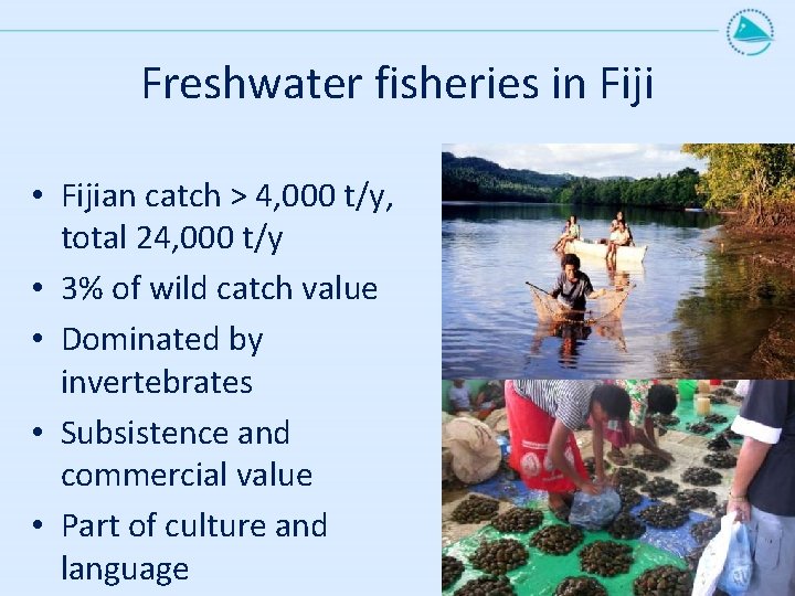 Freshwater fisheries in Fiji • Fijian catch > 4, 000 t/y, total 24, 000