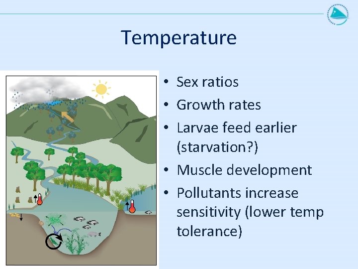 Temperature • Sex ratios • Growth rates • Larvae feed earlier (starvation? ) •