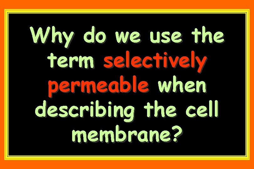 Why do we use the term selectively permeable when describing the cell membrane? 