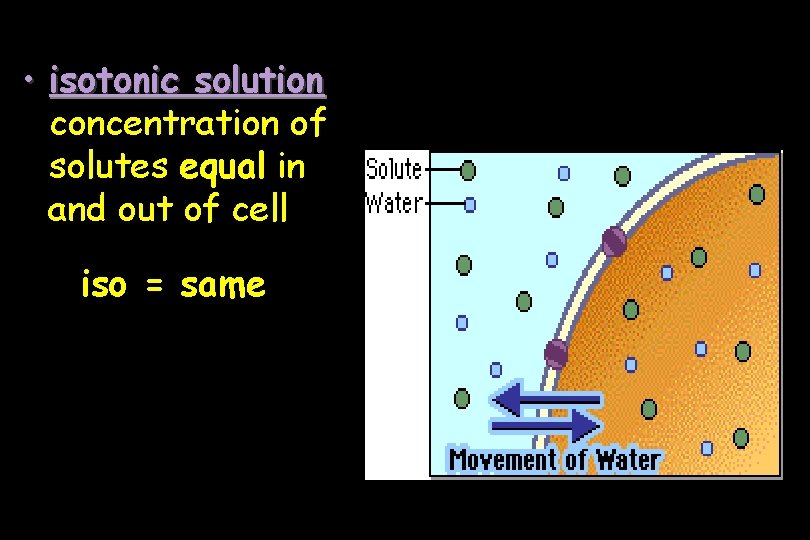  • isotonic solution concentration of solutes equal in and out of cell iso