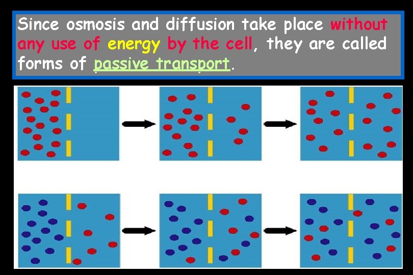 Since osmosis and diffusion take place without any use of energy by the cell,