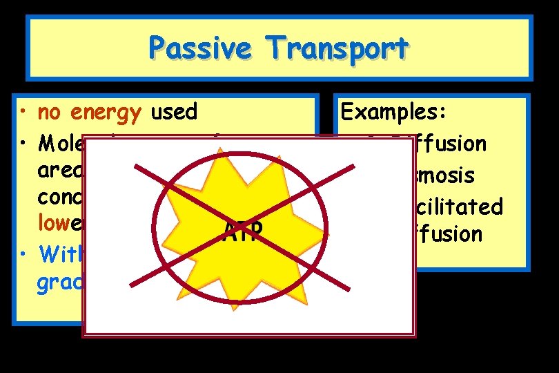 Passive Transport • no energy used • Molecules move from areas of high concentration