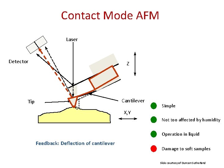 Contact Mode AFM Laser Detector Z Cantilever Tip Simple X, Y Not too affected