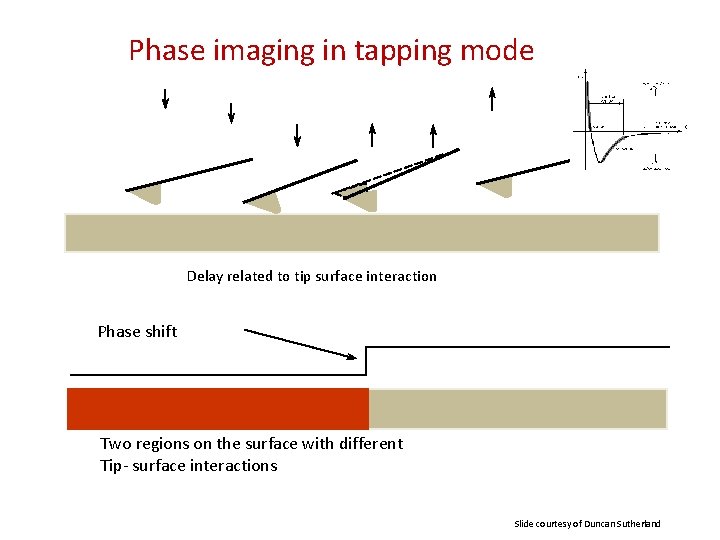 Phase imaging in tapping mode Delay related to tip surface interaction Phase shift Two