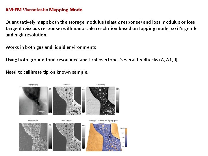  AM-FM Viscoelastic Mapping Mode Quantitatively maps both the storage modulus (elastic response) and