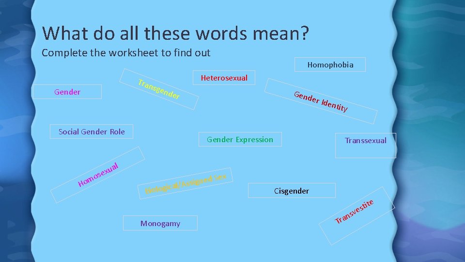 What do all these words mean? Complete the worksheet to find out Homophobia Heterosexual