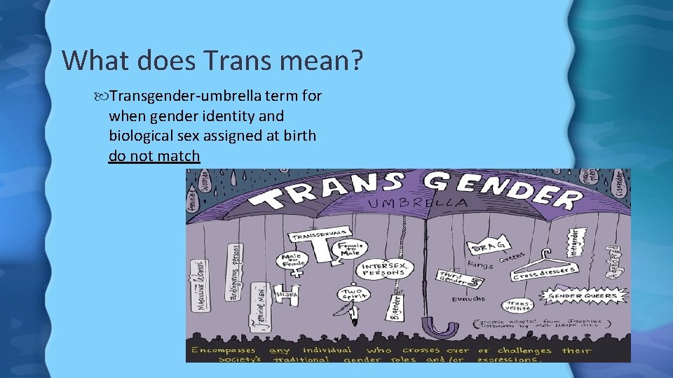 What does Trans mean? Transgender-umbrella term for when gender identity and biological sex assigned