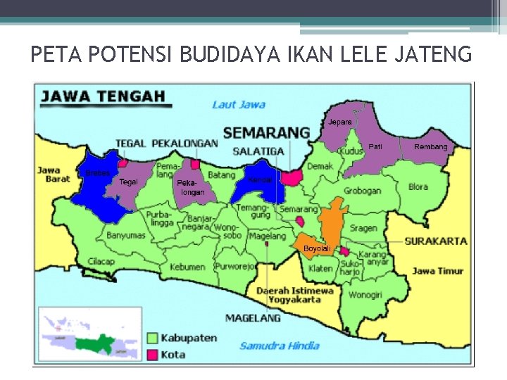 PETA POTENSI BUDIDAYA IKAN LELE JATENG 