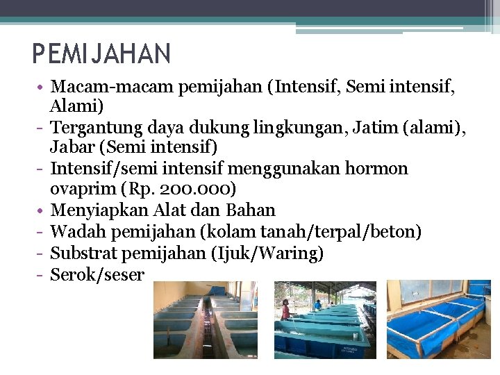 PEMIJAHAN • Macam-macam pemijahan (Intensif, Semi intensif, Alami) - Tergantung daya dukung lingkungan, Jatim