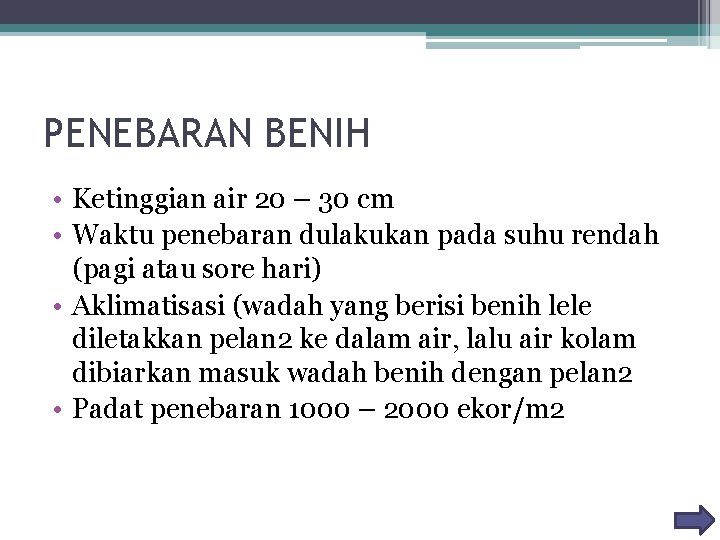 PENEBARAN BENIH • Ketinggian air 20 – 30 cm • Waktu penebaran dulakukan pada