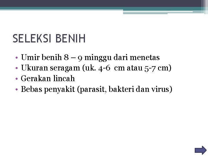 SELEKSI BENIH • • Umir benih 8 – 9 minggu dari menetas Ukuran seragam