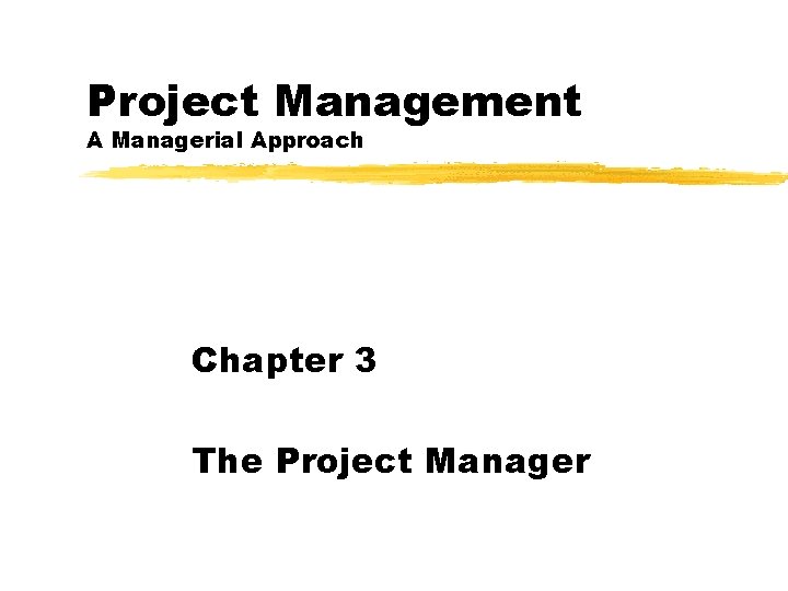 Project Management A Managerial Approach Chapter 3 The Project Manager 