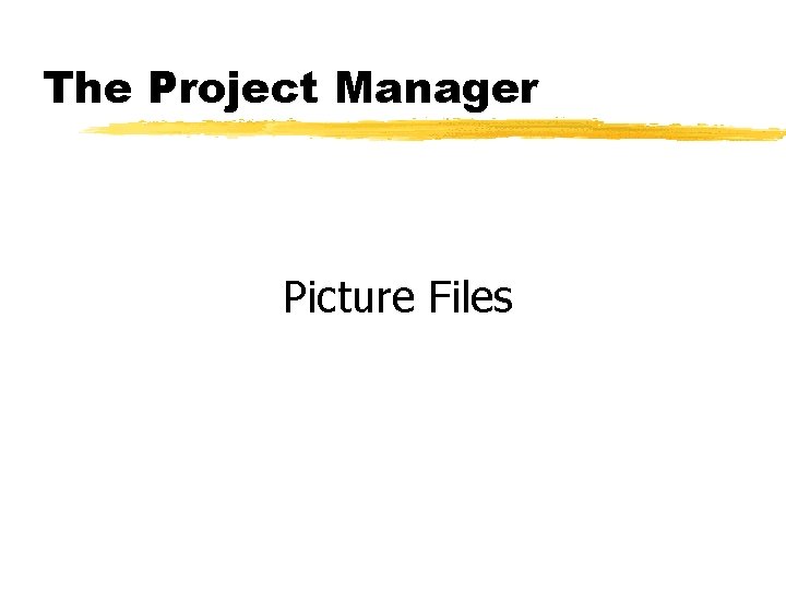 The Project Manager Picture Files 