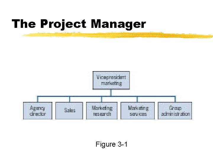 The Project Manager Figure 3 -1 