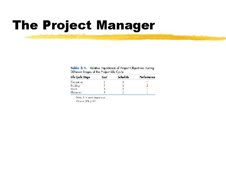 The Project Manager 