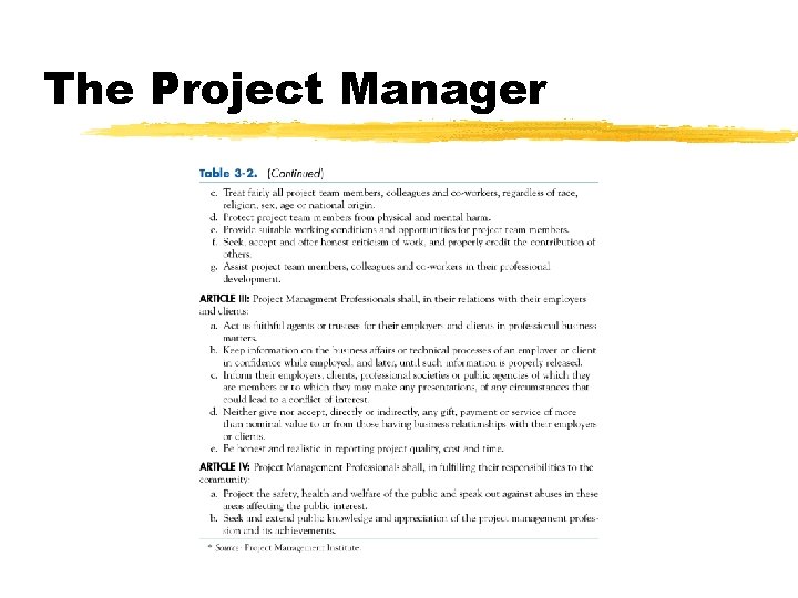 The Project Manager 