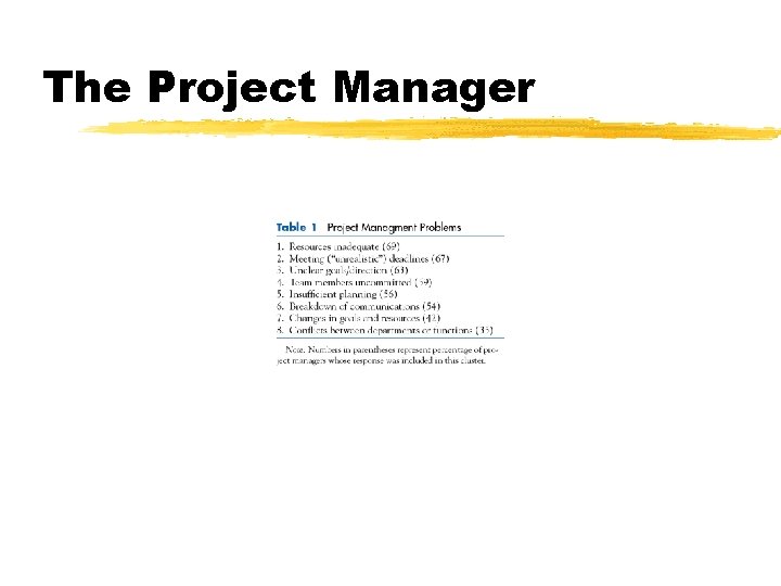 The Project Manager 