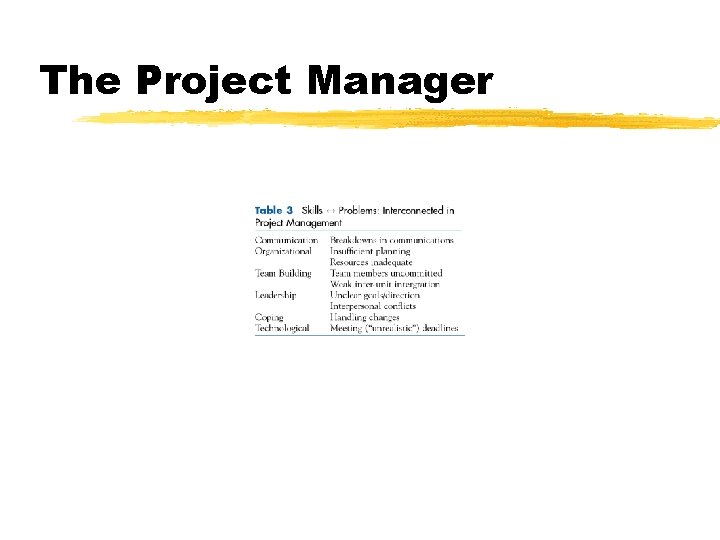 The Project Manager 