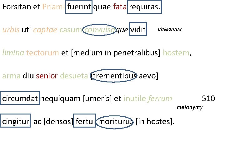Forsitan et Priami fuerint quae fata requiras. urbis uti captae casum convulsaque vidit chiasmus