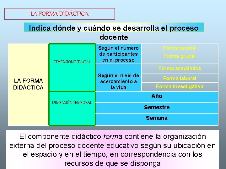 LA FORMA DIDÁCTICA Indica dónde y cuándo se desarrolla el proceso docente DIMENSIÓN ESPACIAL