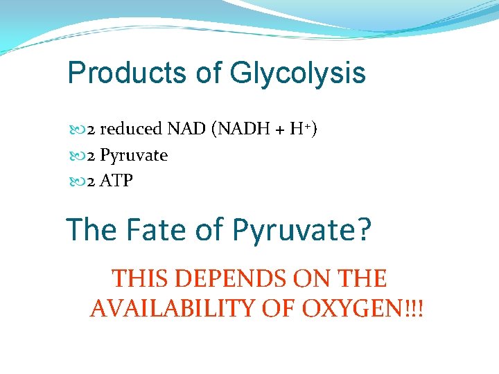 Products of Glycolysis 2 reduced NAD (NADH + H+) 2 Pyruvate 2 ATP The