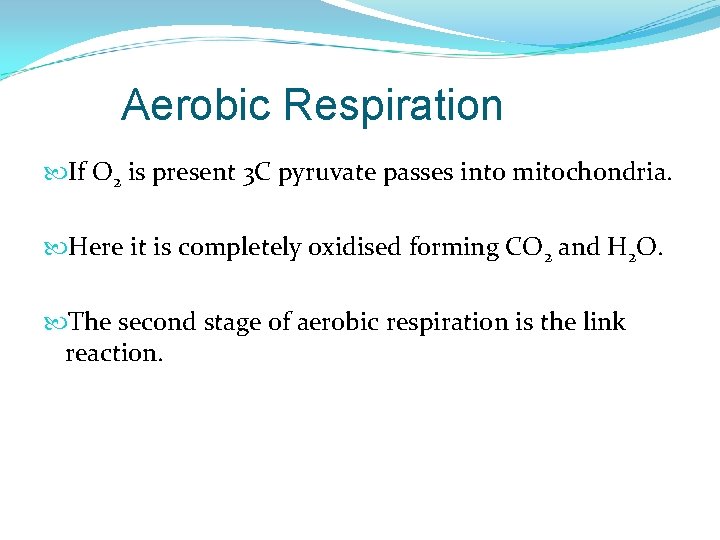 Aerobic Respiration If O 2 is present 3 C pyruvate passes into mitochondria. Here